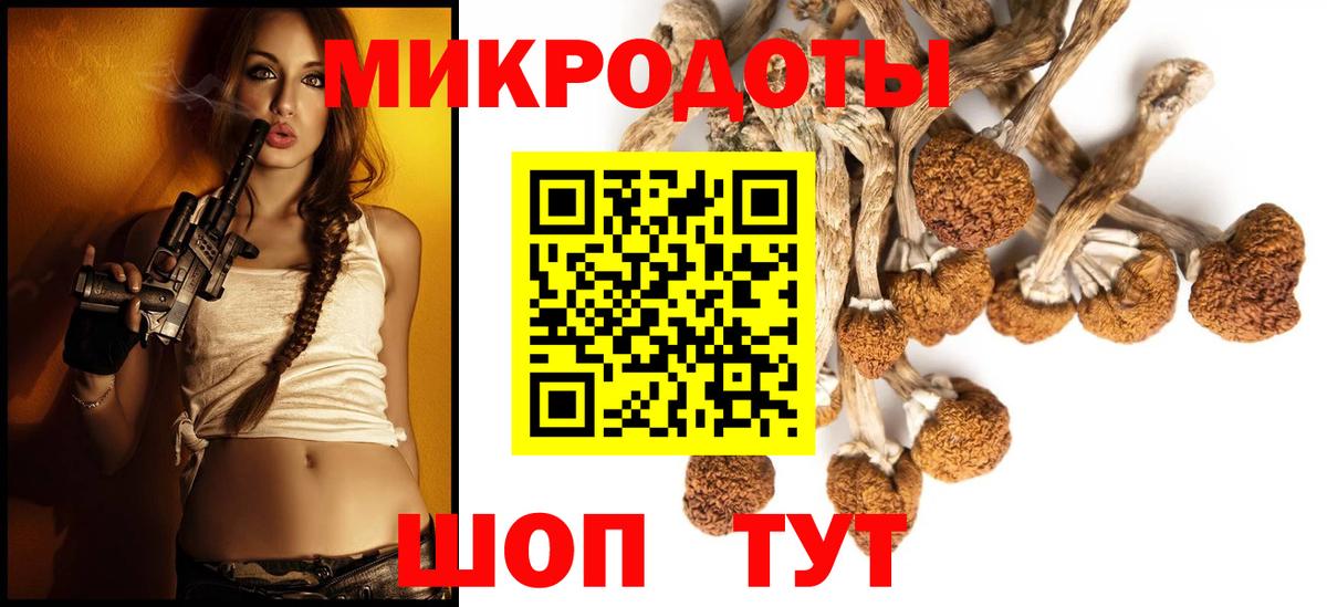 Галлюциногенные грибы мухоморы Краснознаменск