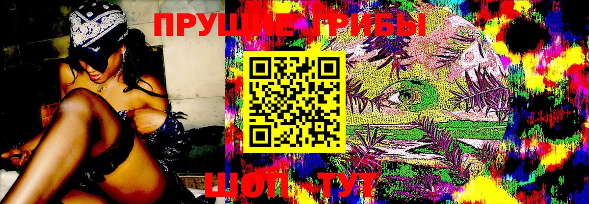 Галлюциногенные грибы Cubensis  Вход с VPN  Краснознаменск  Псилоцибиновые грибы Cubensis 