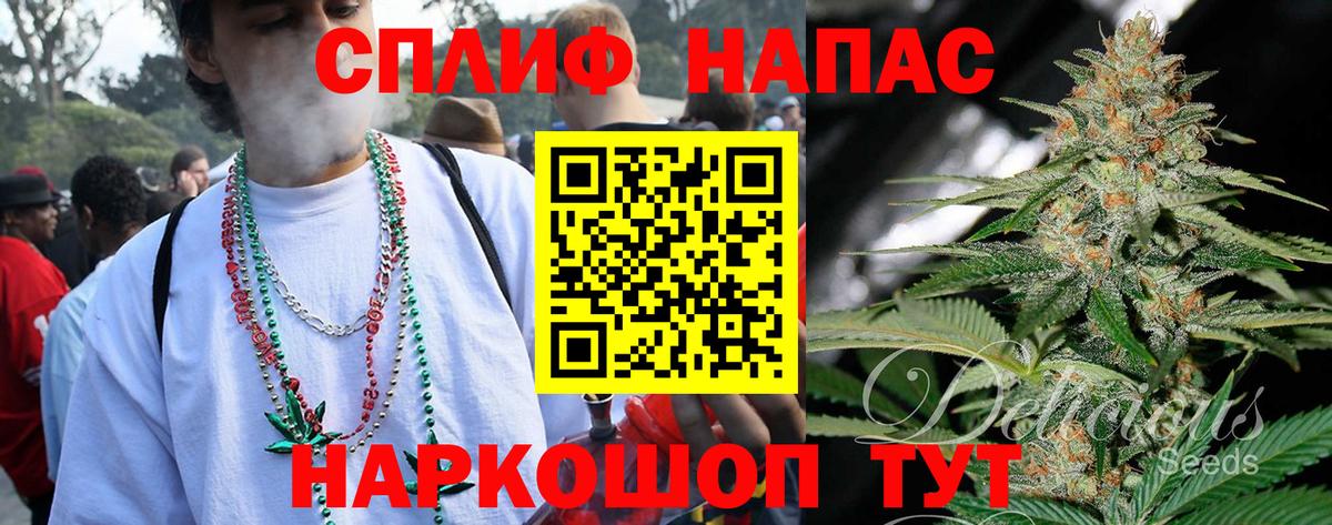 Конопля MAZAR Краснознаменск
